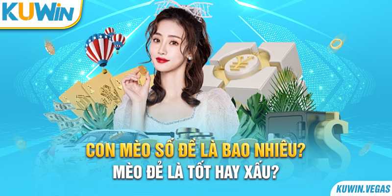 Con mèo số đề là bao nhiêu? Mèo đẻ là tốt hay xấu?