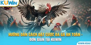 Hướng Dẫn Cách Đặt Cược Đá Gà An Toàn - Đơn Giản Tại Kuwin