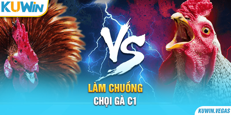 Làm chuồng chọi gà C1