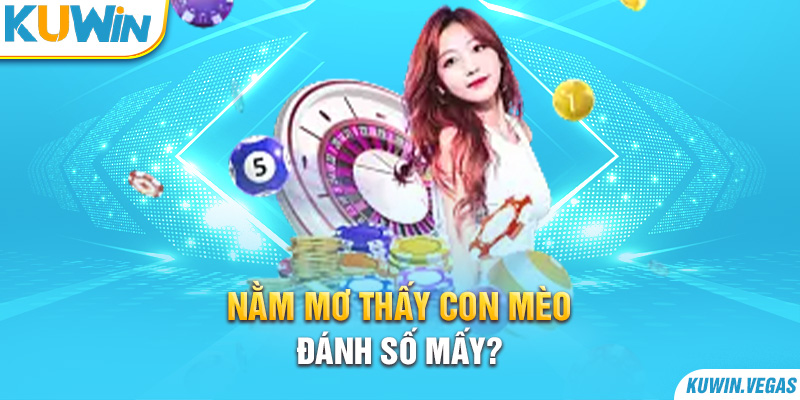 Nằm mơ thấy con mèo đánh số mấy?